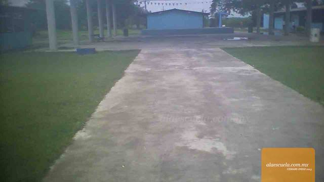 Entrada (vista previa)