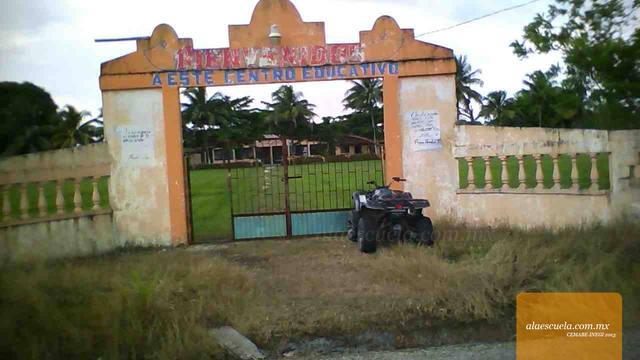 Entrada (vista previa)