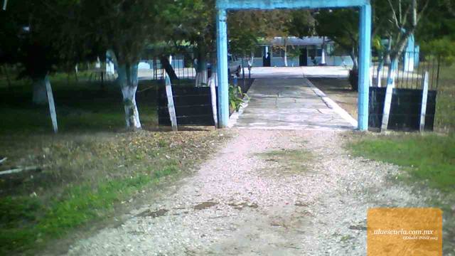 Entrada (vista previa)