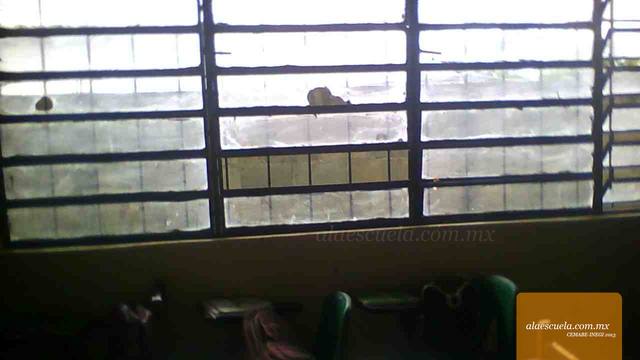 Aulas (vista previa)