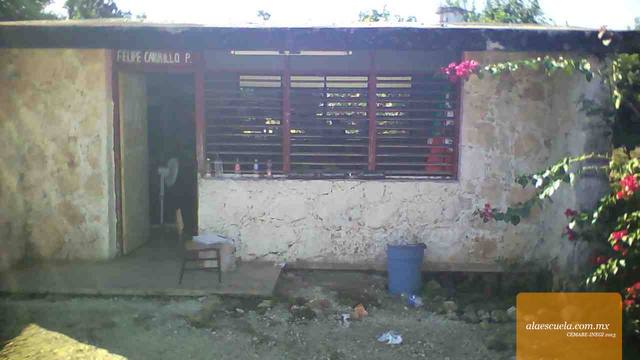 Entrada (vista previa)