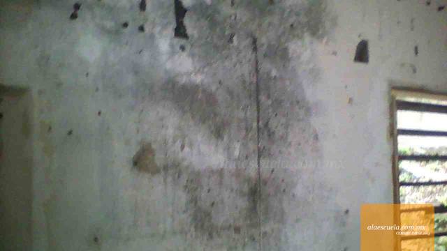 Aulas (vista previa)