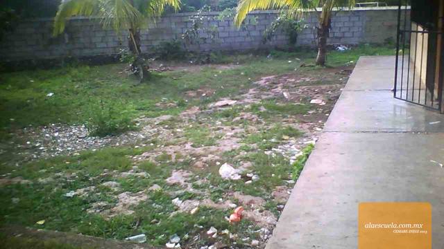 Entrada (vista previa)