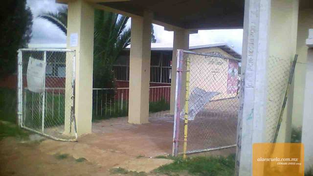 Entrada (vista previa)