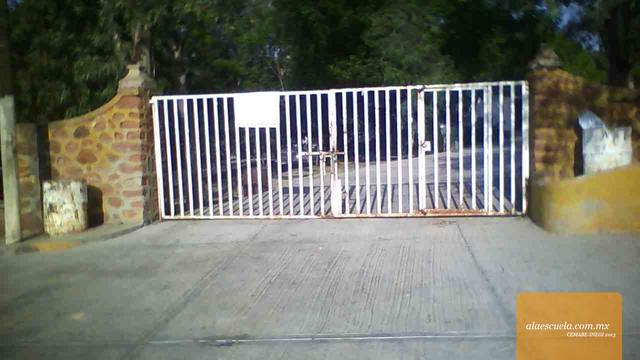 Entrada (vista previa)