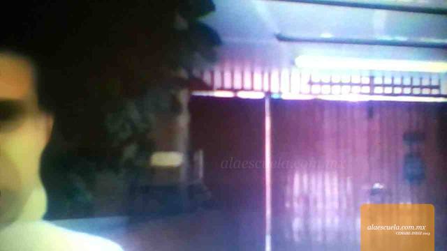 Entrada (vista previa)