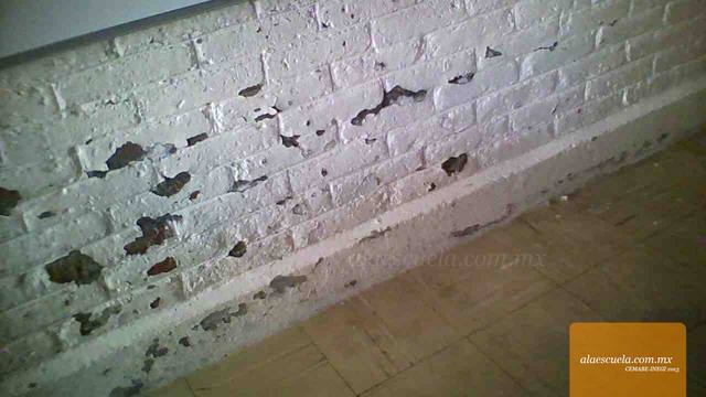 Aulas (vista previa)