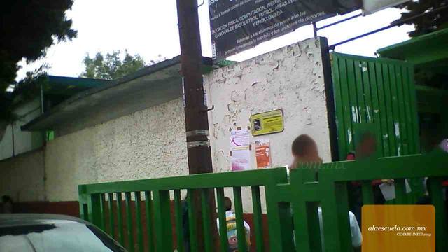 Entrada (vista previa)