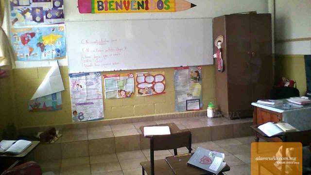 Aulas (vista previa)