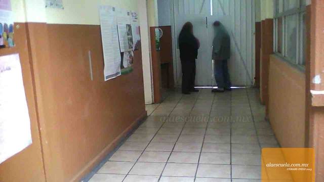 Entrada (vista previa)