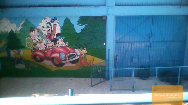 Entrada (vista previa)