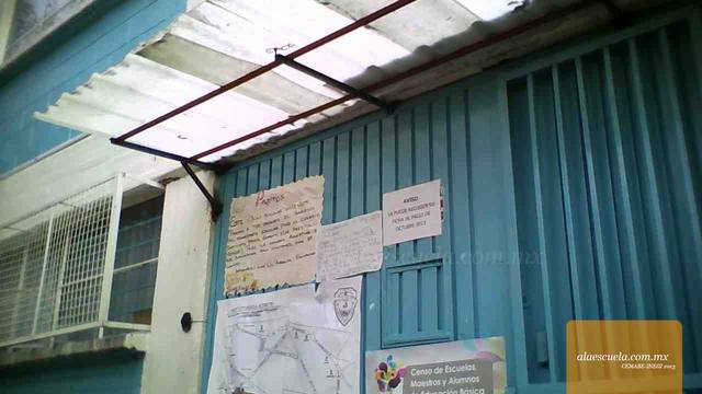 Entrada (vista previa)