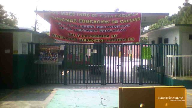 Entrada (vista previa)