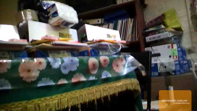 Entrada (vista previa)