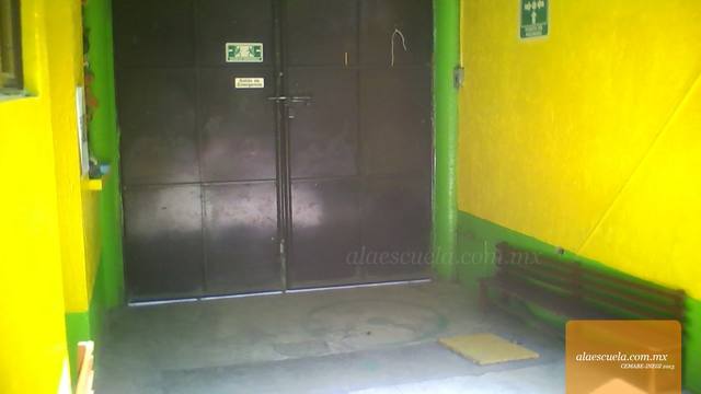 Entrada (vista previa)