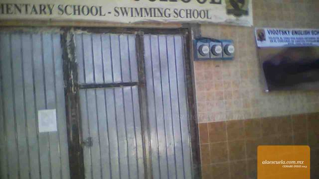 Entrada (vista previa)