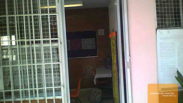 Entrada (vista previa)