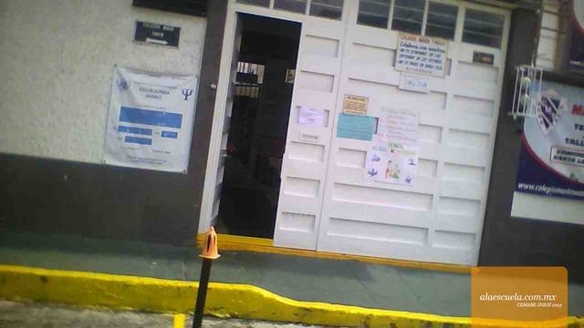 Entrada (vista previa)