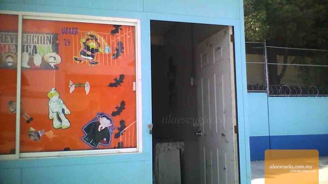 Entrada (vista previa)