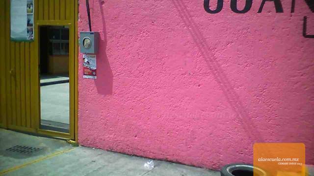 Entrada (vista previa)