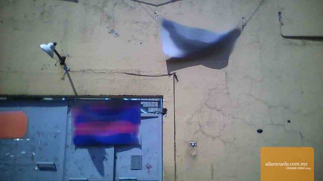 Entrada (vista previa)