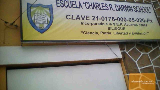 Entrada (vista previa)