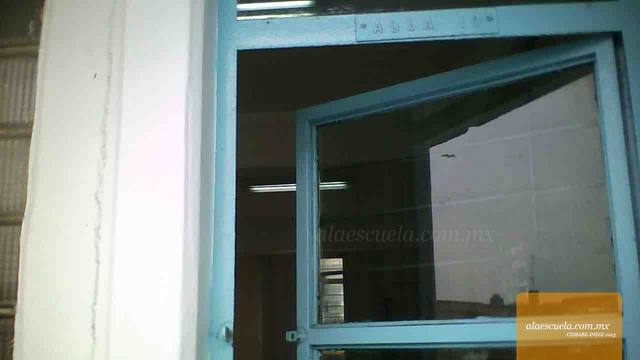 Entrada (vista previa)