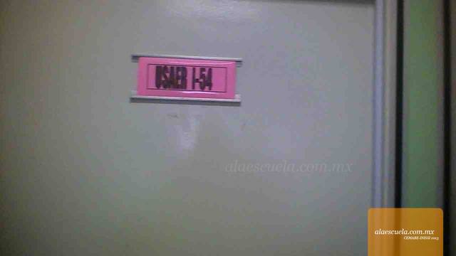 Entrada (vista previa)