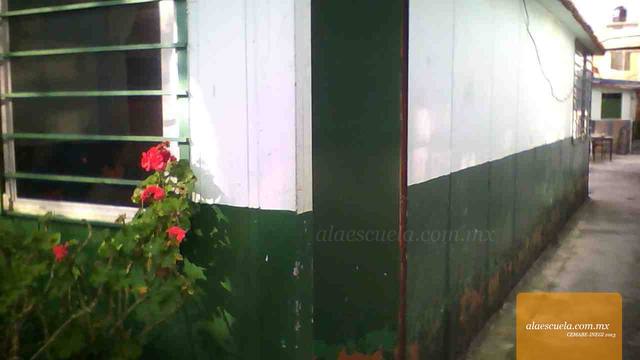 Entrada (vista previa)