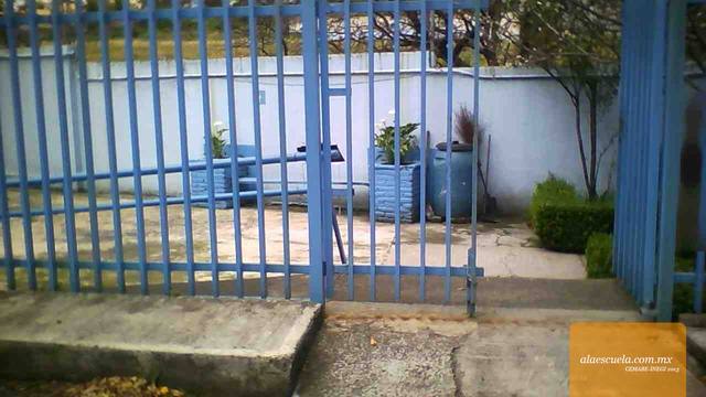 Entrada (vista previa)