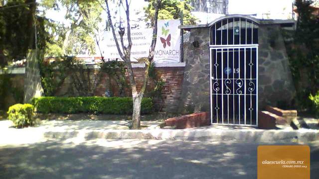 Entrada (vista previa)