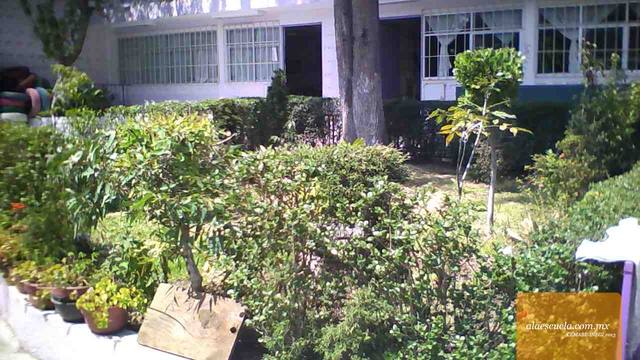 Áreas (vista previa)