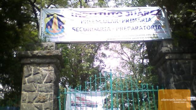 Entrada (vista previa)