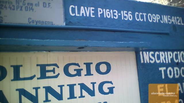 Entrada (vista previa)