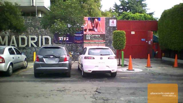 Entrada (vista previa)