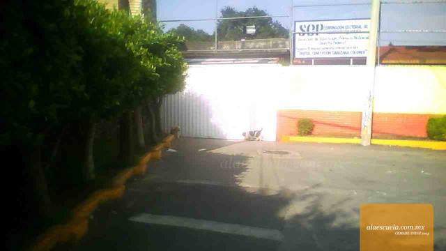 Entrada (vista previa)