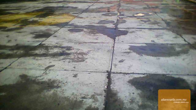 Áreas (vista previa)