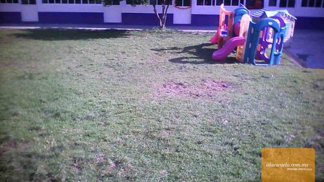 Áreas (vista previa)