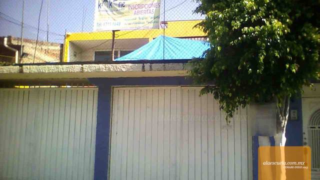 Entrada (vista previa)