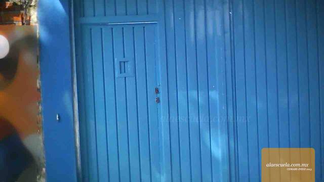 Entrada (vista previa)