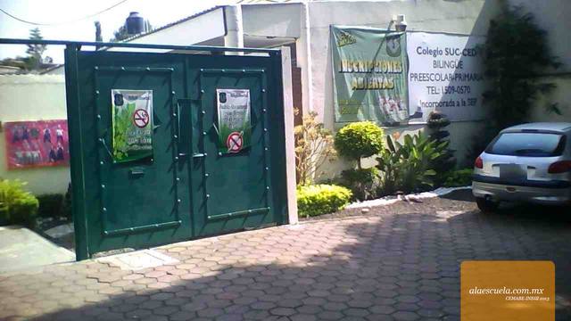 Entrada (vista previa)