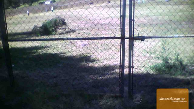 Entrada (vista previa)