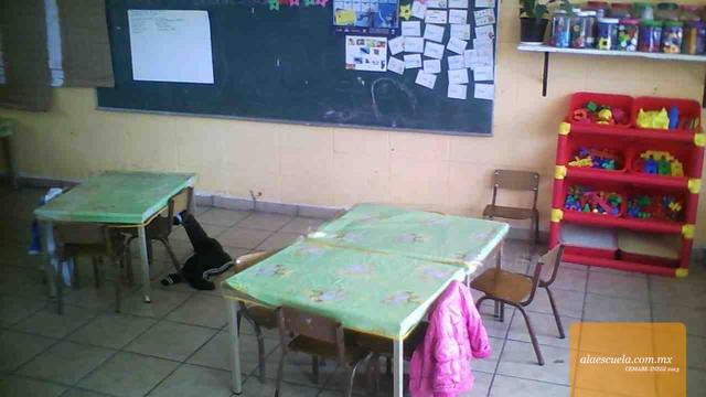 Aulas (vista previa)
