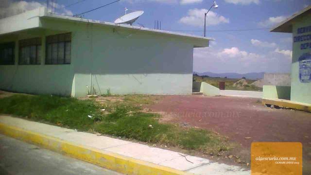 Entrada (vista previa)