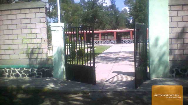 Entrada (vista previa)