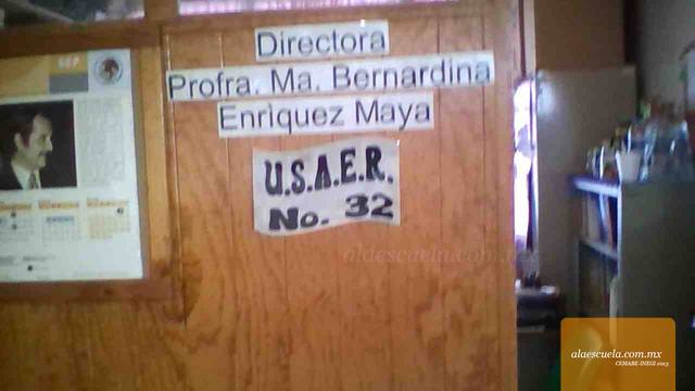 Entrada (vista previa)