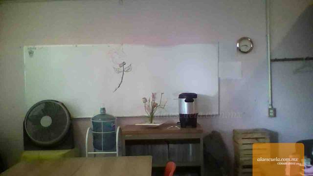 Entrada (vista previa)