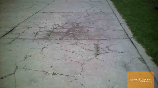 Áreas (vista previa)