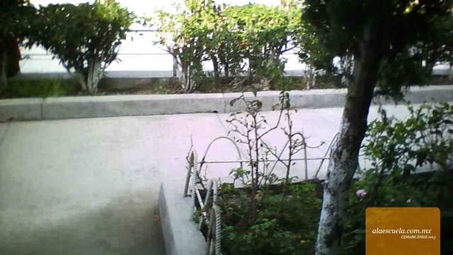 Áreas (vista previa)