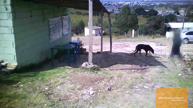 Entrada (vista previa)